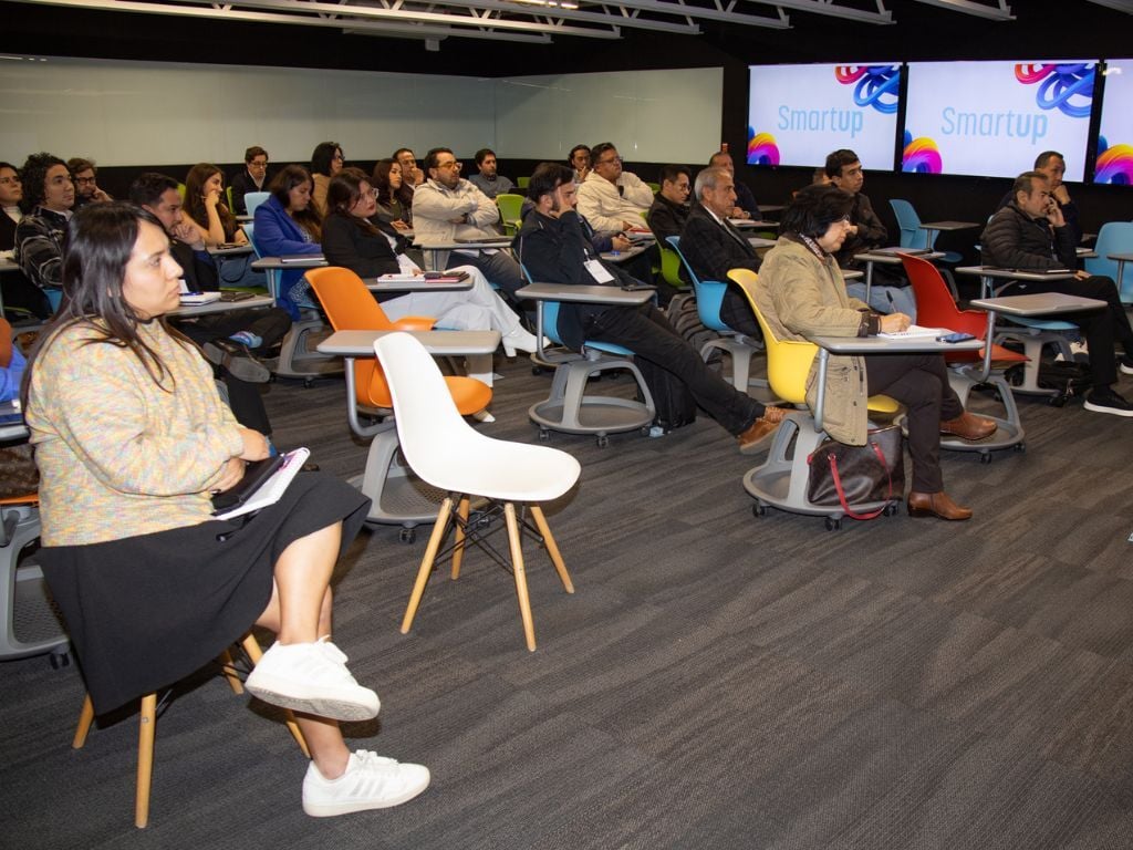 Cebra-asistentes-aliados