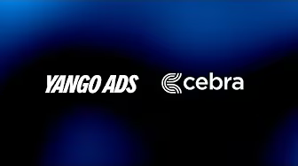 Yango - Cebra