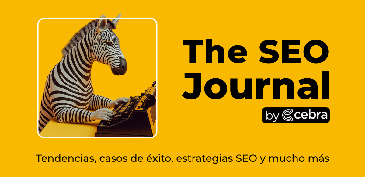 newsletter de seo