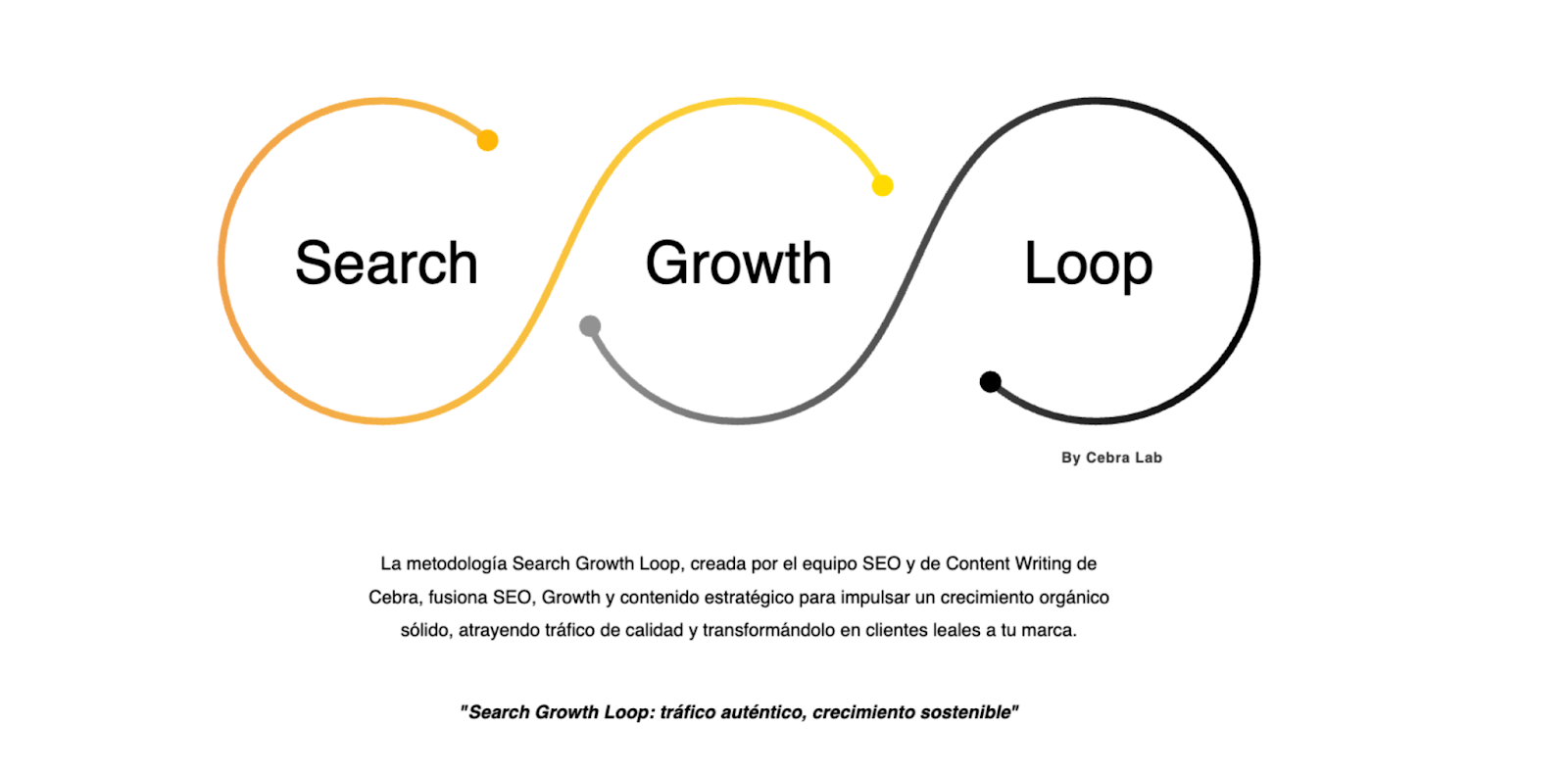 visual de la estrategia “Search Growth Loop”, que ilustra el ciclo infinito de aplicación y mejora continua