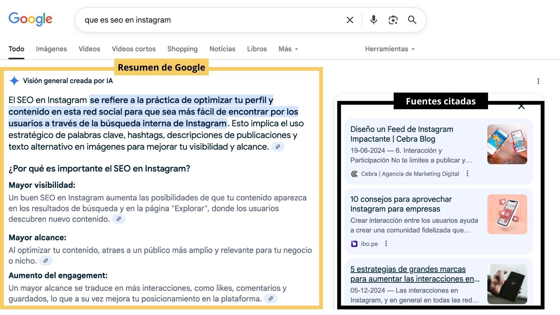 imagen explicativa que distingue el la respuesta generada con IA y las páginas que Google cita.